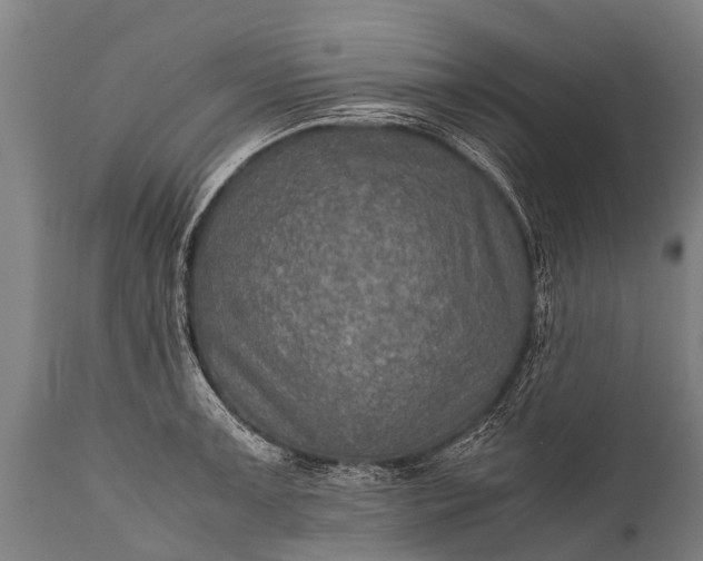 X0000112011091200908171437