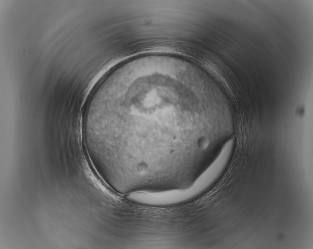 X0000112011092200908171437