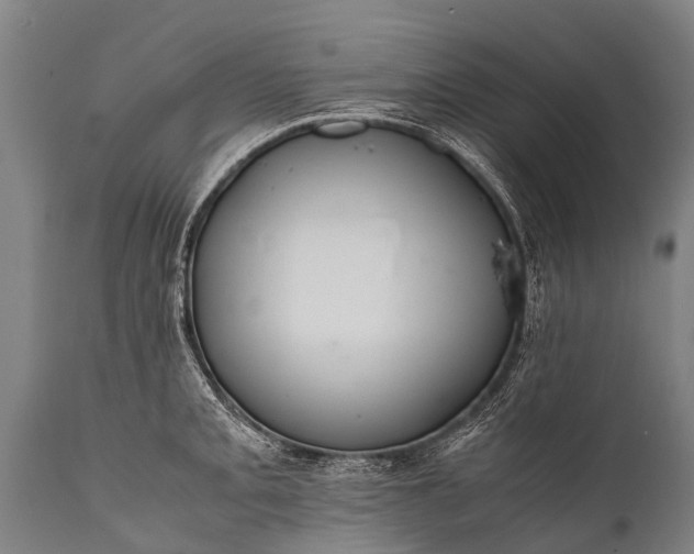 X0000112011093200908171437