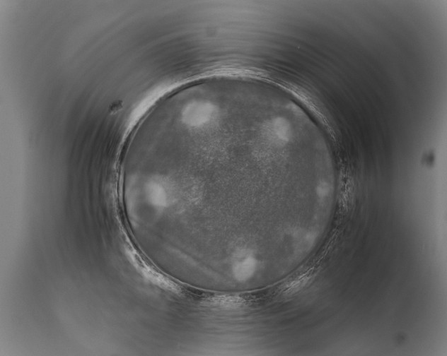 X0000112011094200908171437