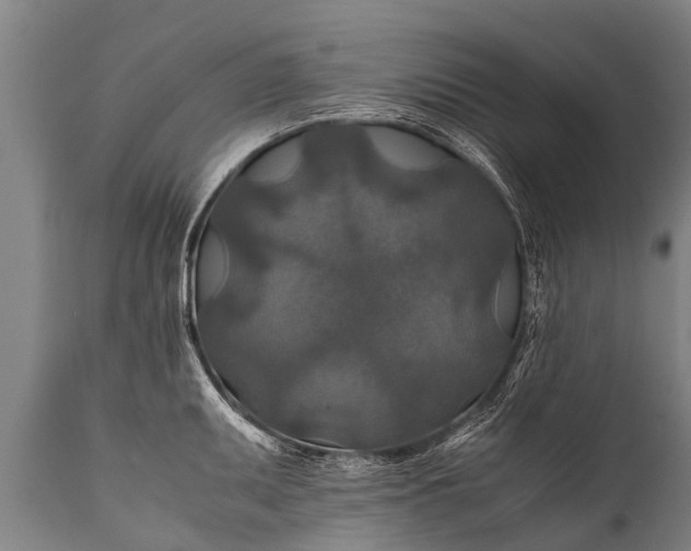 X0000112011095200908171437