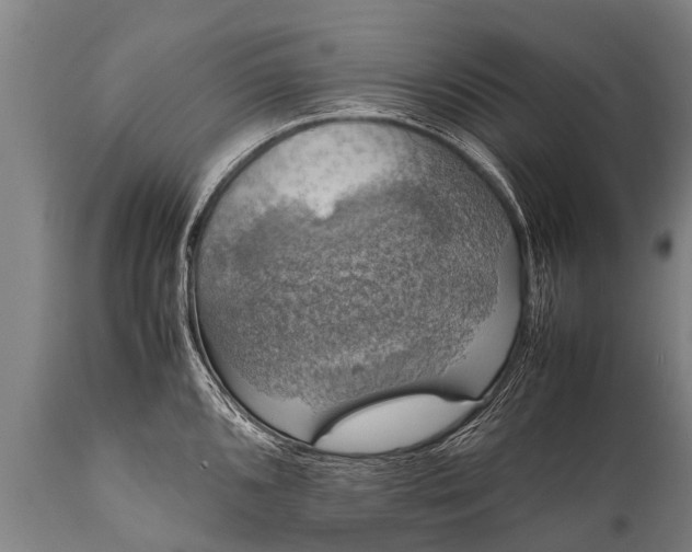 X0000112011096200908171437