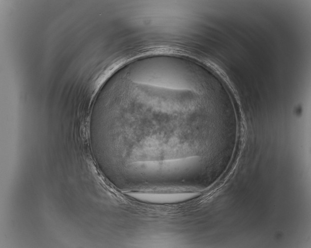 X0000112011097200908171437