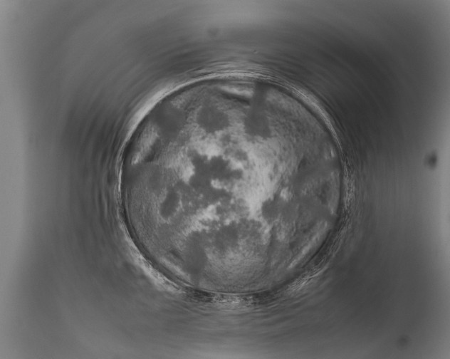 X0000112011099200908171437