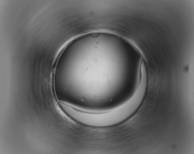 X0000112011100200908171437