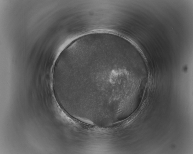 X0000112011102200908171437