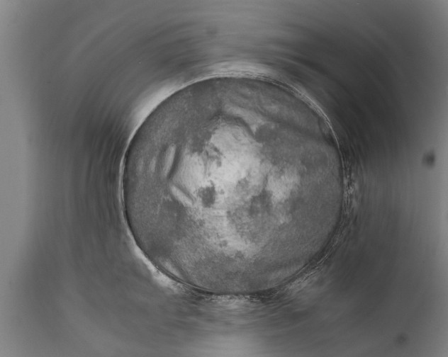 X0000112011103200908171437