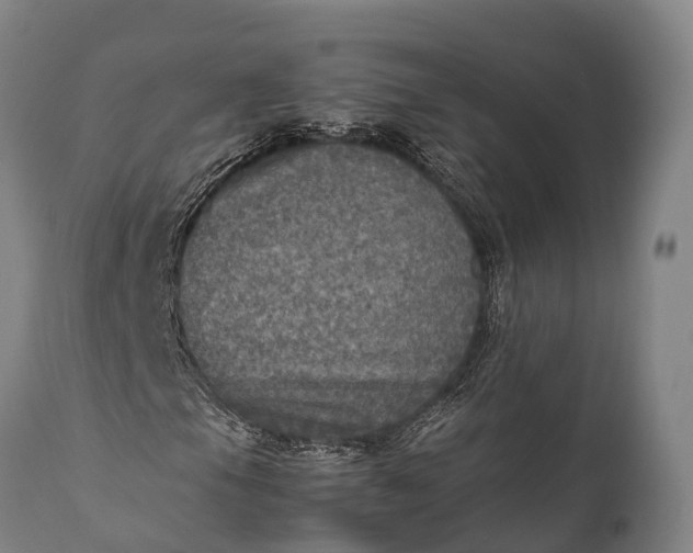 X0000112011105200908171436