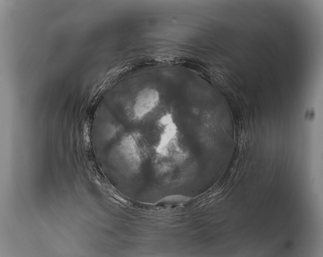 X0000112011106200908171436