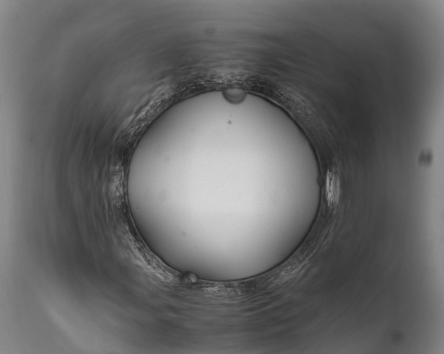 X0000112011107200908171436