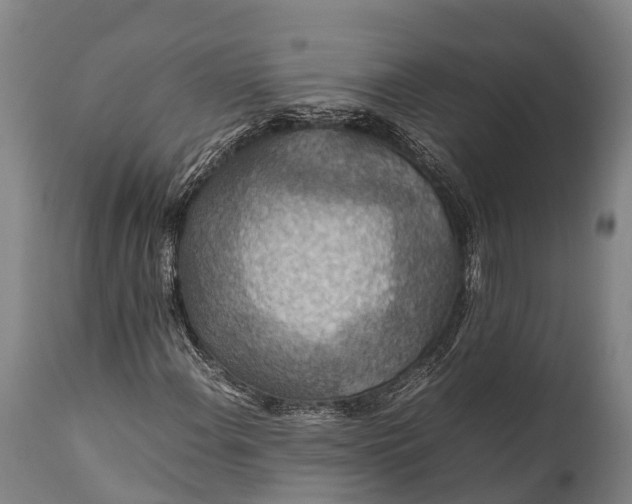 X0000112011108200908171436