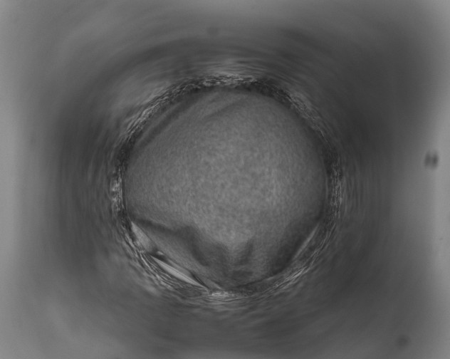 X0000112011109200908171436