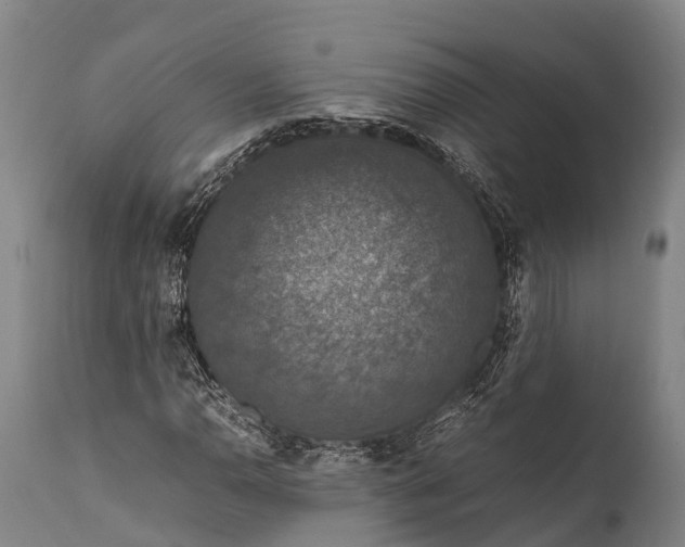 X0000112011110200908171436