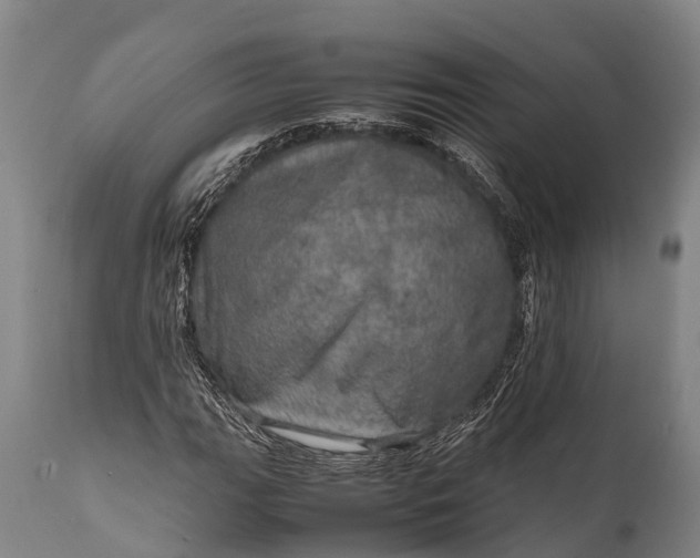 X0000112011111200908171436