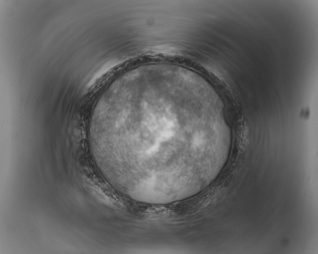 X0000112011112200908171436