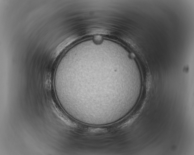 X0000112011113200908171436