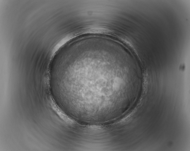 X0000112011114200908171436