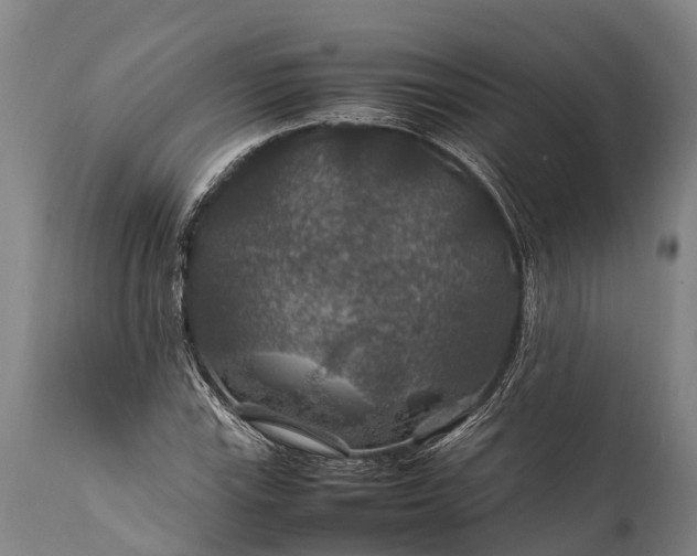 X0000112011115200908171436