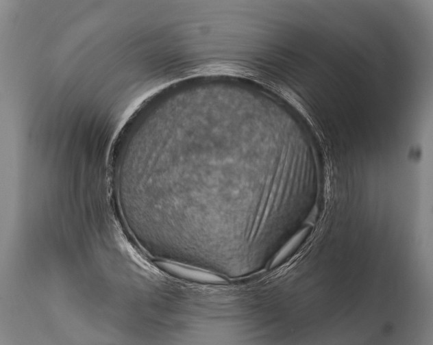 X0000112011116200908171436