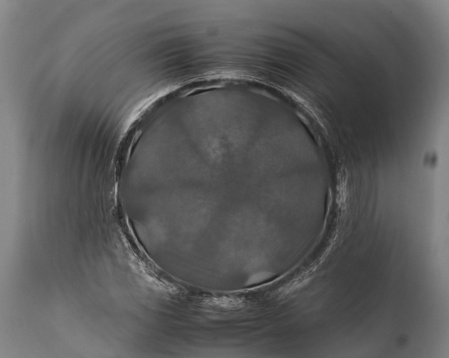 X0000112011117200908171436