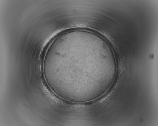 X0000112011118200908171436