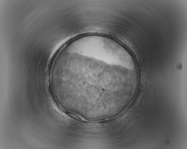 X0000112011120200908171436