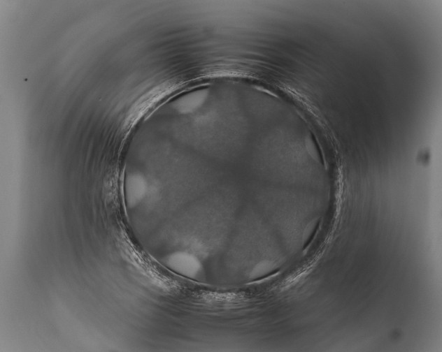 X0000112011121200908171436