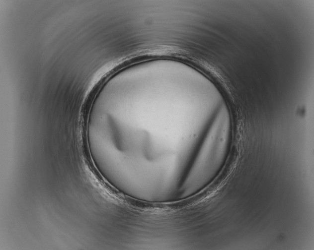 X0000112011122200908171436