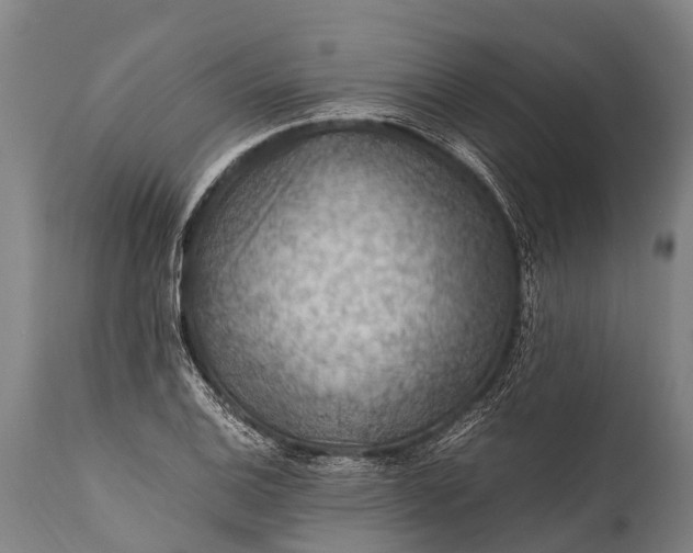 X0000112011124200908171436