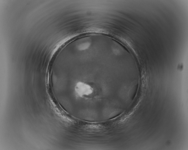 X0000112011125200908171436