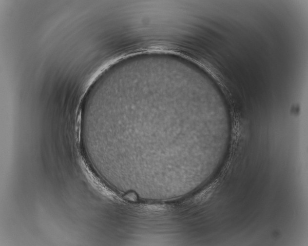 X0000112011126200908171436