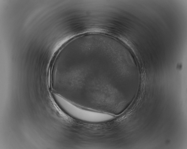 X0000112011127200908171436