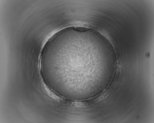 X0000112011128200908171436