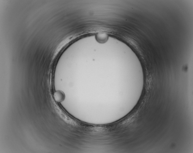 X0000112011130200908171436