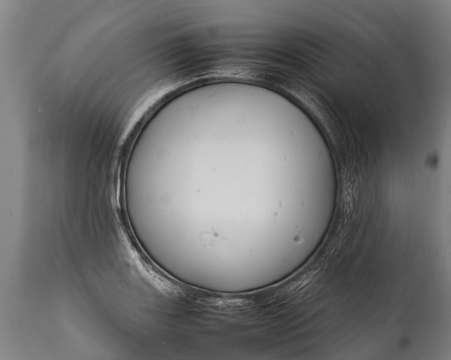 X0000112011131200908171436