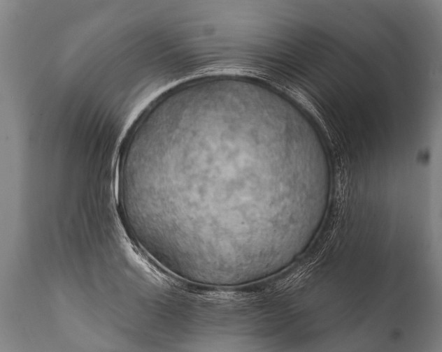 X0000112011132200908171436