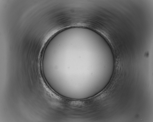 X0000112011135200908171436