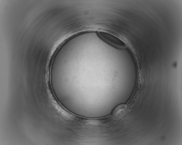 X0000112011136200908171436