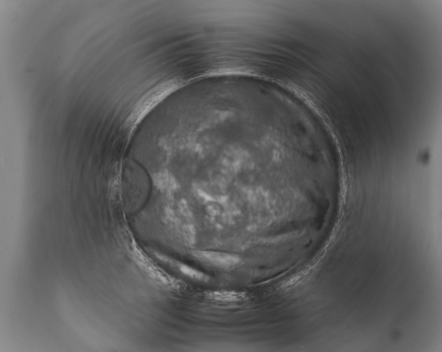 X0000112011137200908171436