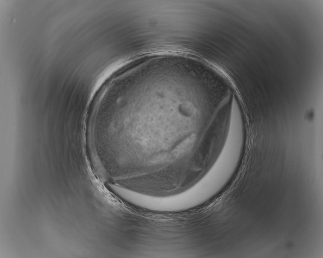 X0000112011138200908171436