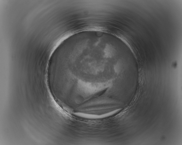 X0000112011139200908171436