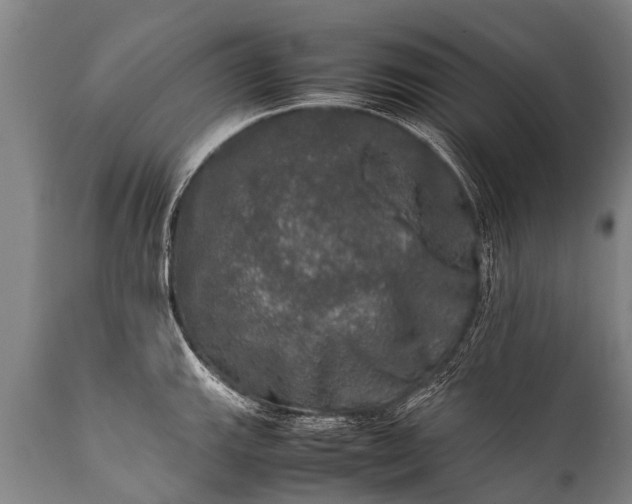 X0000112011143200908171437