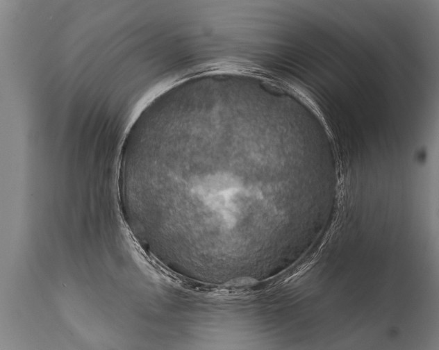 X0000112011146200908171437