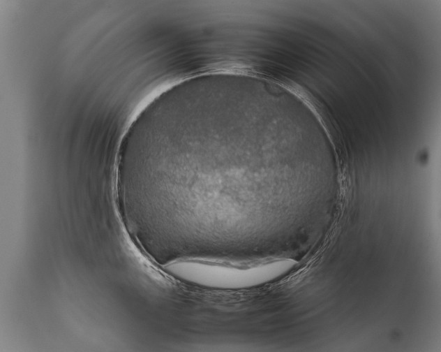 X0000112011147200908171437