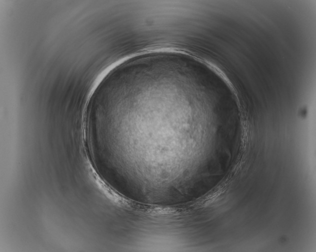 X0000112011148200908171437