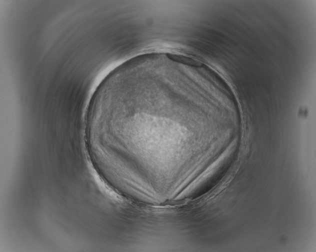 X0000112011152200908171437