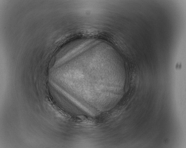 X0000112011153200908171436