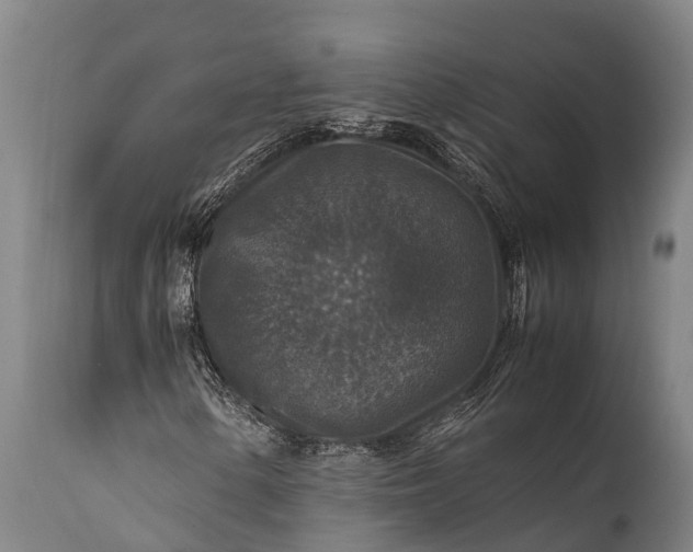 X0000112011154200908171436