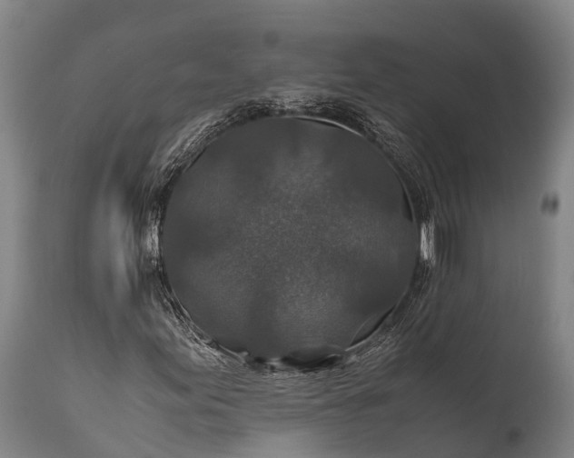 X0000112011155200908171436