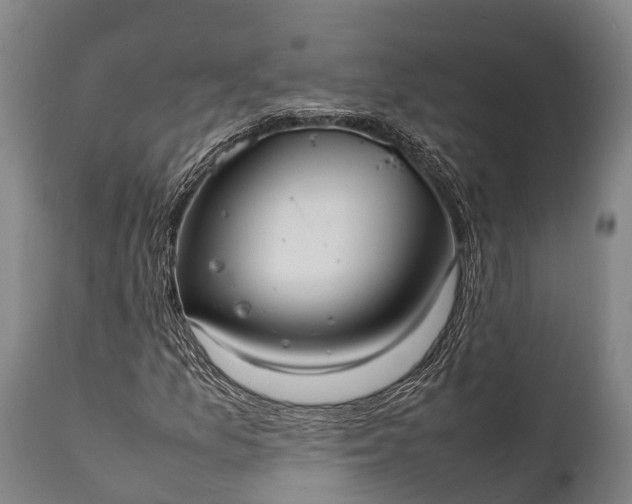 X0000112011157200908171436